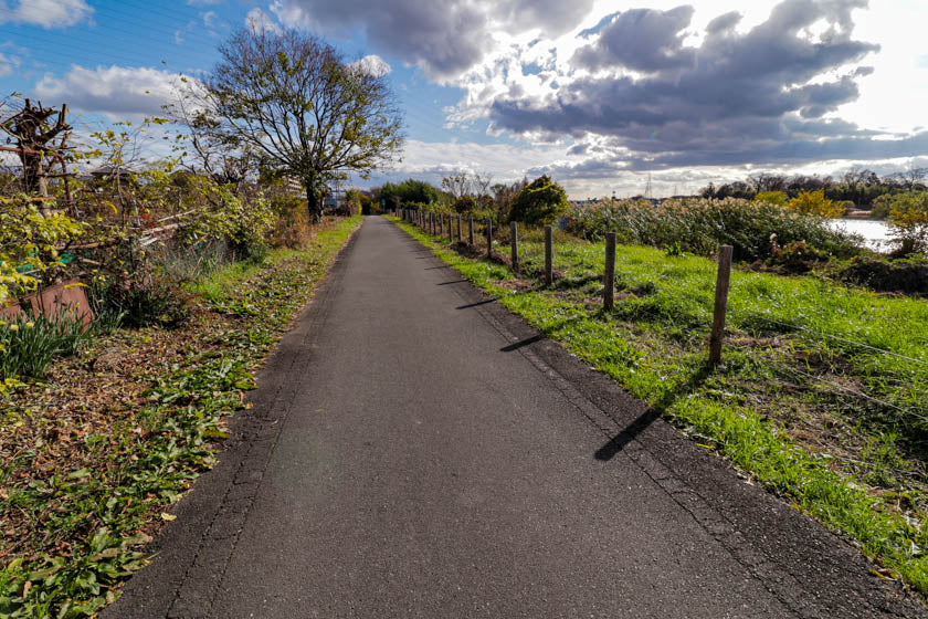 El precioso carril bici a lo largo del río Katsura, Kioto.