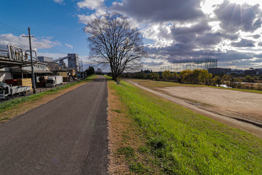 Preciosa vía ciclista en la ruta de Kioto a Osaka.