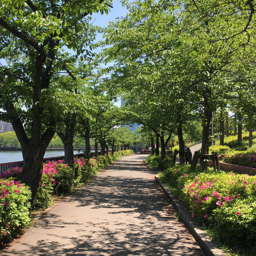 La vía ciclista del río Oo en Osaka