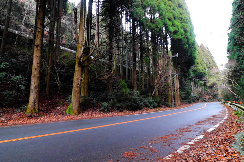 在勝王寺附近的箕面騎自行車的完美道路。