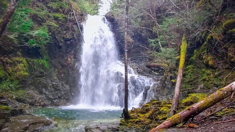 waterfall hikes tofino