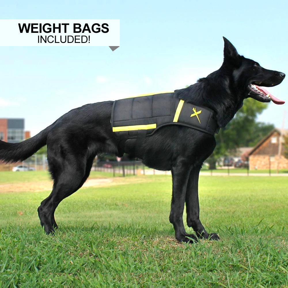 XDOG Weight Vest for Dogs (Version 1 