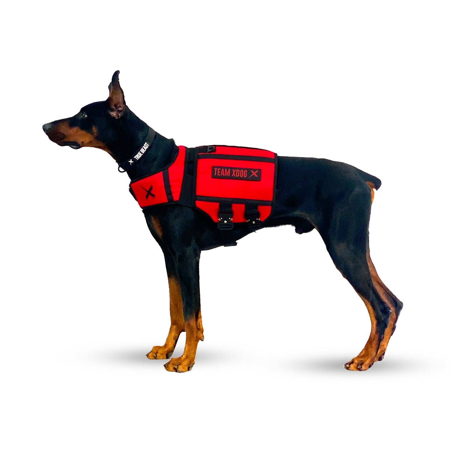 best weighted vest for dogs