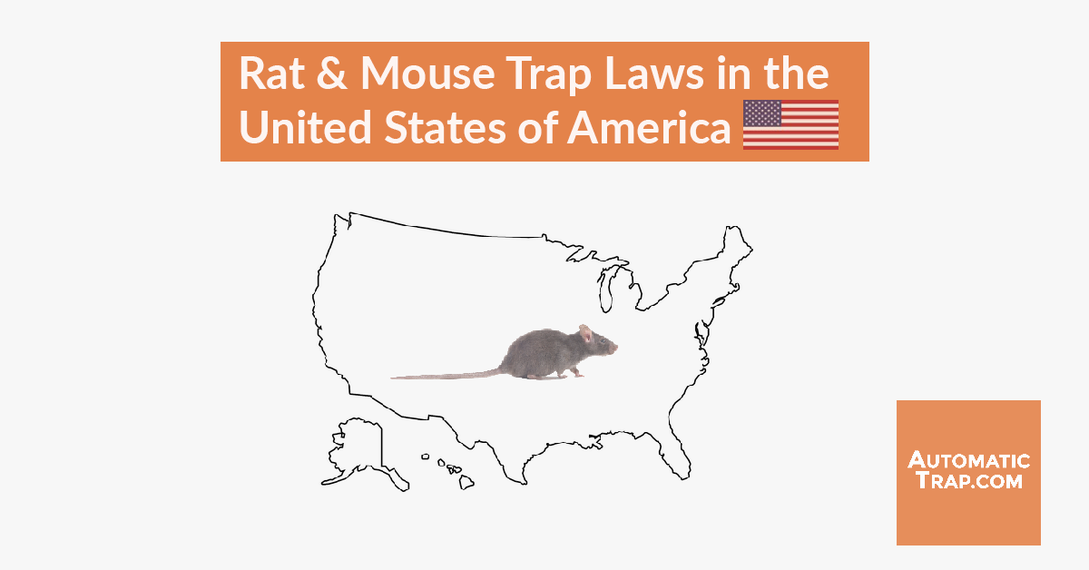 where can you buy a mousetrap