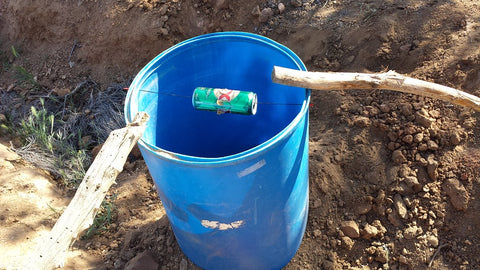 drowning bucket rat trap