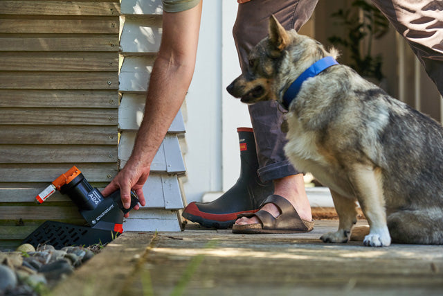 dog and A24 Rat & Mouse Trap