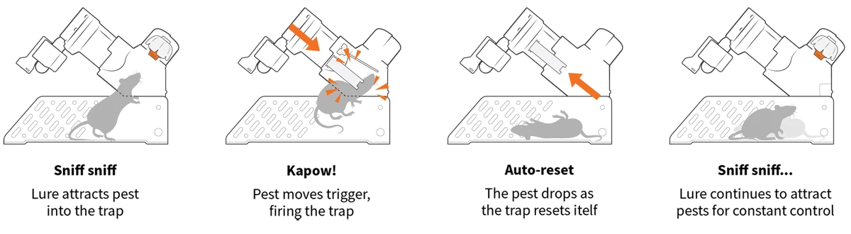 A24 Rat Trap How It Works