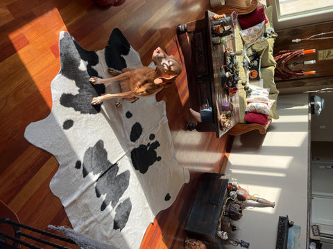 Cowhide rugs USA is the premier destination for all your cowhide rug needs. Whether you're looking to decorate a home, office, or hotel, Cowhide rugs USA has it all – 