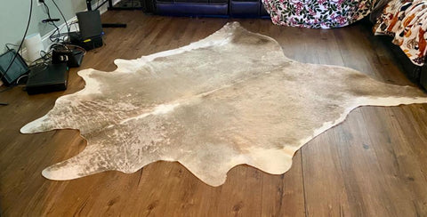 Enhance your decor with a stunning cowhide rug. Find the perfect blend of elegance and functionality in our diverse selection.