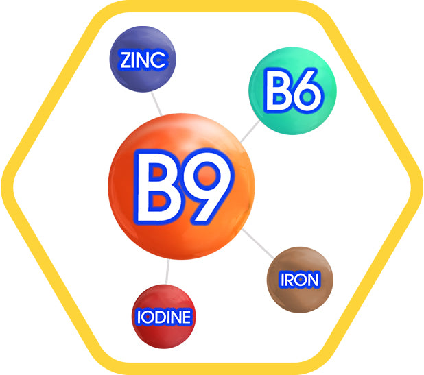Zinc, B6, B9, Iodine, Iron - a hexagonal logo
