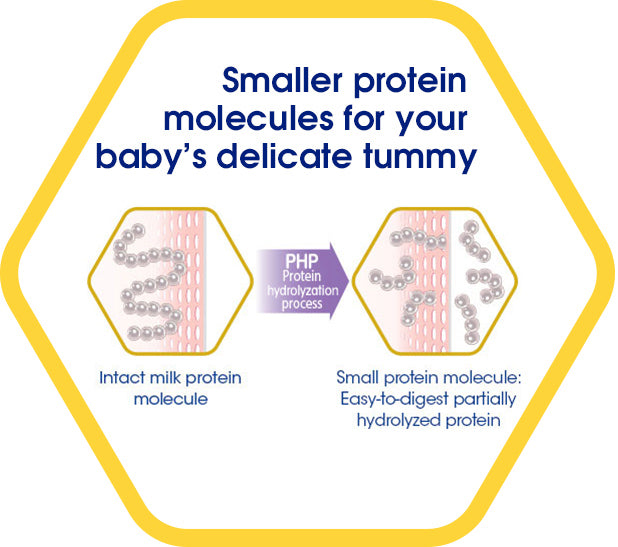 Smaller protein molecules for your baby's delicate tummy, PHP Protein hydrolyzation process, from Intact milk protein molecule to Small protein molecule: Easy-to-digest partially hydrolyzed protein - a diagram