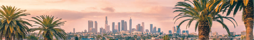 City landscape from afar in front of a sunset