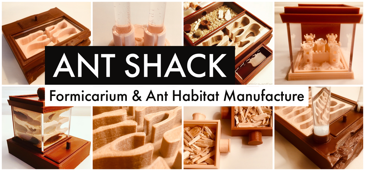 ANT SHACK - Formicarium & Ant Farm Shop