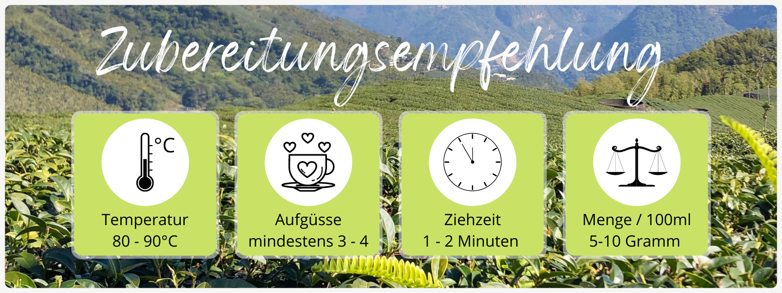 Zubereitungsempfehlung Jin Xuan Milky Oolong Tee - aus dem Taiwanesischen Hochgebirge