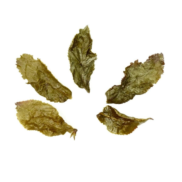 green Jade Oolong Teeblätter bereits aufgebrüht - Evergreen Teashop