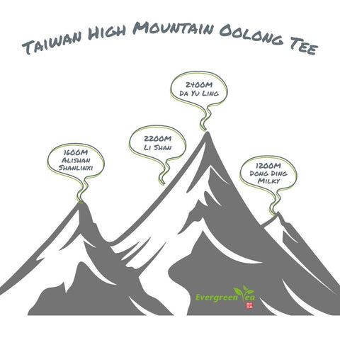 Taiwan High Mountain Oolong Anbaugebiete Höhe