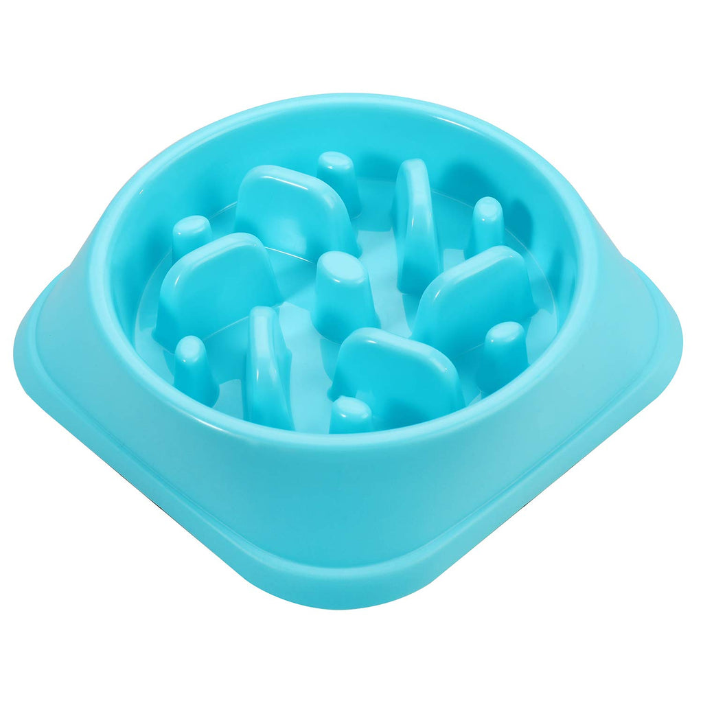 maze dog bowl