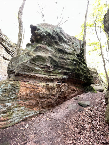 Whipps Ledges Bouldering