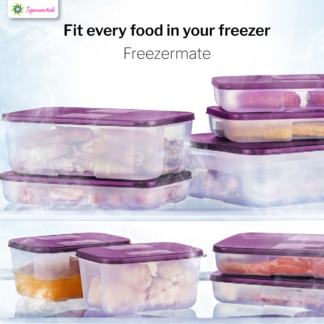 Tupperware FreezerMate Large II (1) 3.1L with Tray