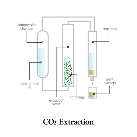 CO2 extraction
