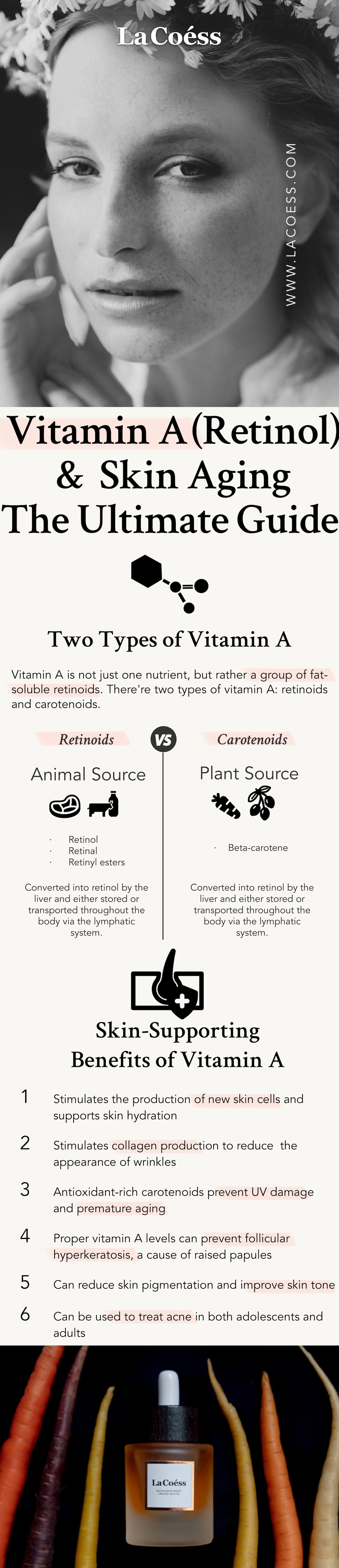 Vitamin A and Retinol and Skin Aging The Ultimate Guide