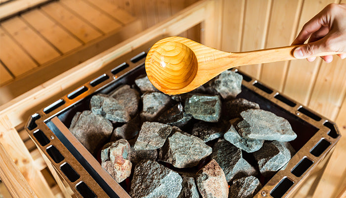 wood burning sauna stove