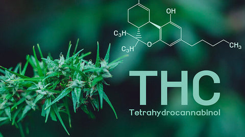 THC