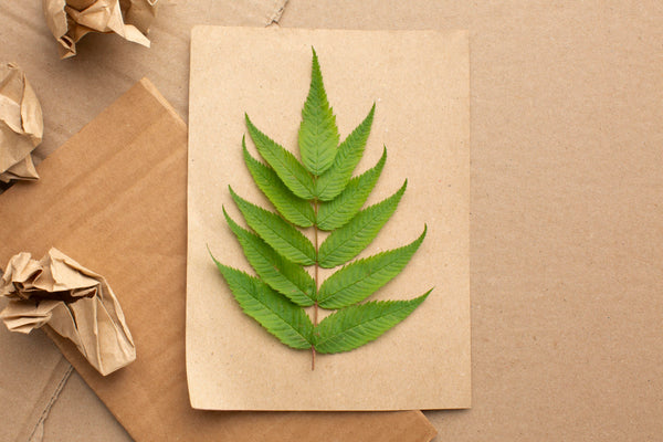 hemp leaf paper