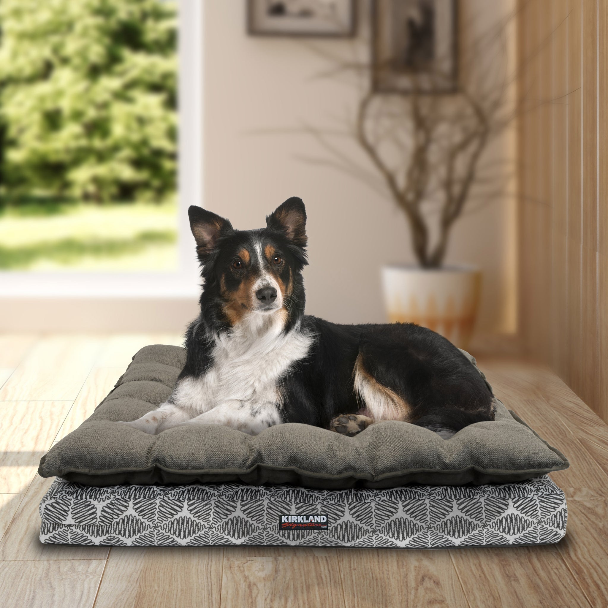 kirkland dog bed