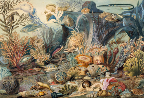 Ocean Life by James M. Sommerville (475 Piece Ocean Wooden Jigsaw Puzzle)