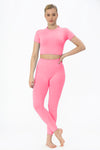 Neon Pink Seamless Top & Leggings Gym Set - Nellie