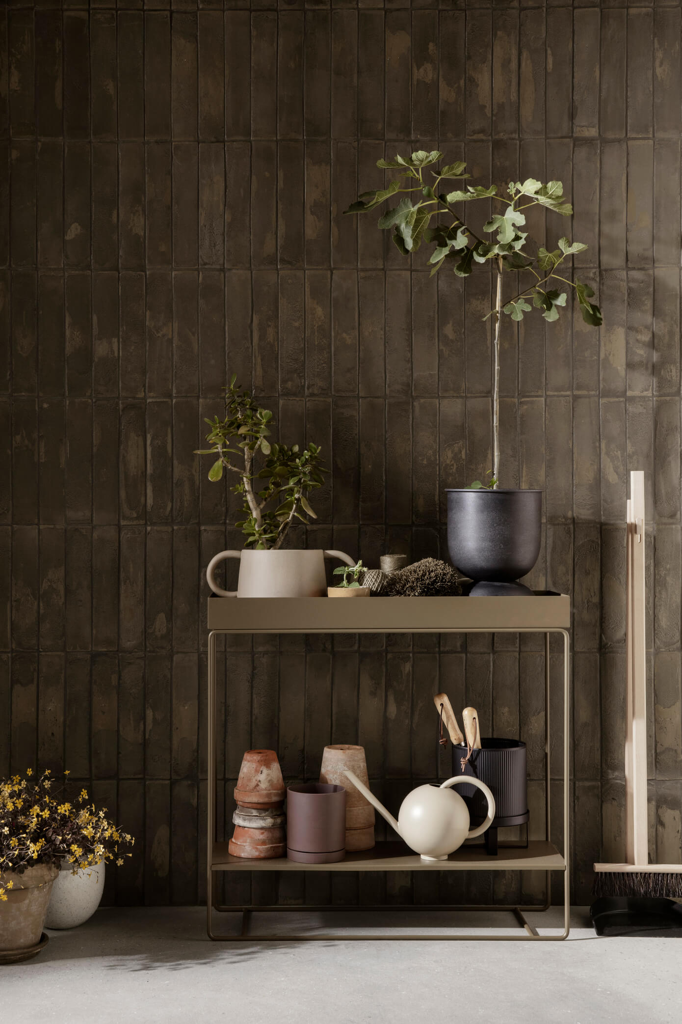 アクタスオンライン限定商品ferm LIVING Plant Box Olive | labiela.com