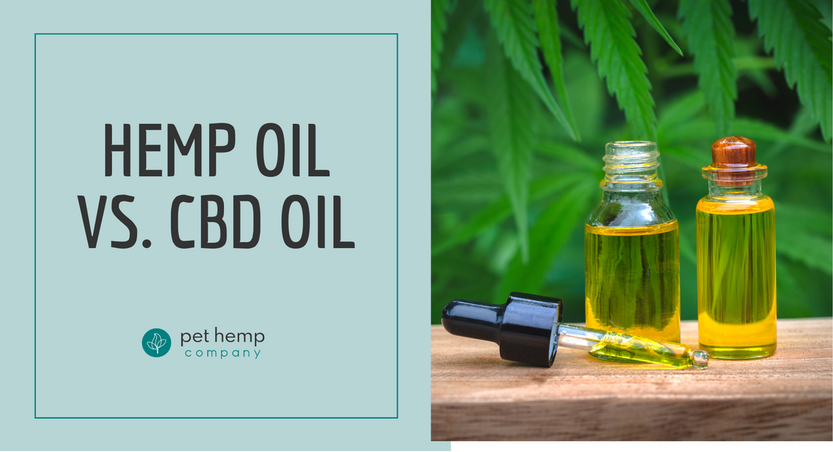 Hemp Oil vs CBD Oil for Pets: Benefits, Dosage & Safty Guide - 2021 – Pet Hemp Company