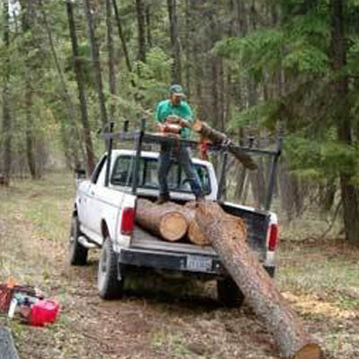 Pulling a Log