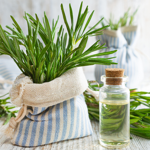 A fabric bag holds fresh rosemary on a countertop next to a jar with water in it.