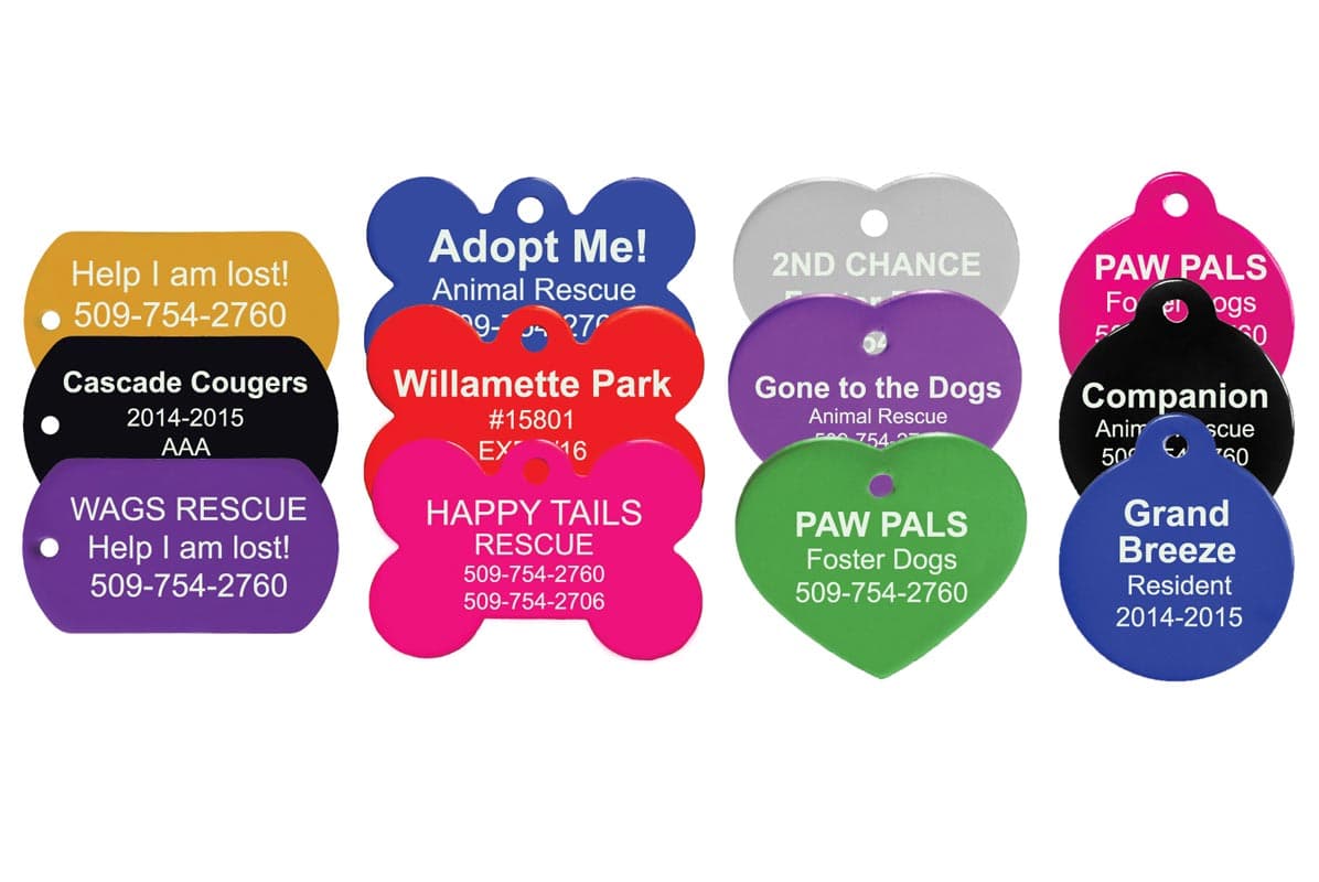 bulk pet tags