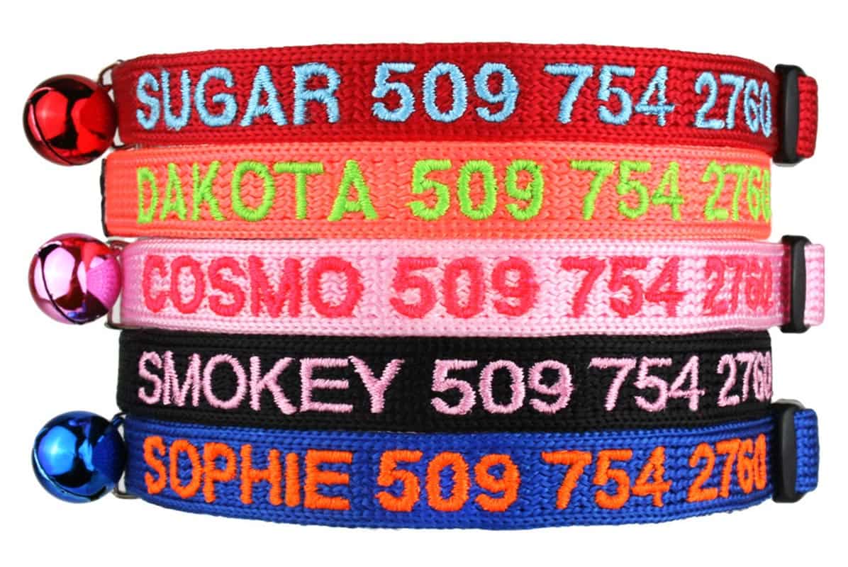 personalized cat collars