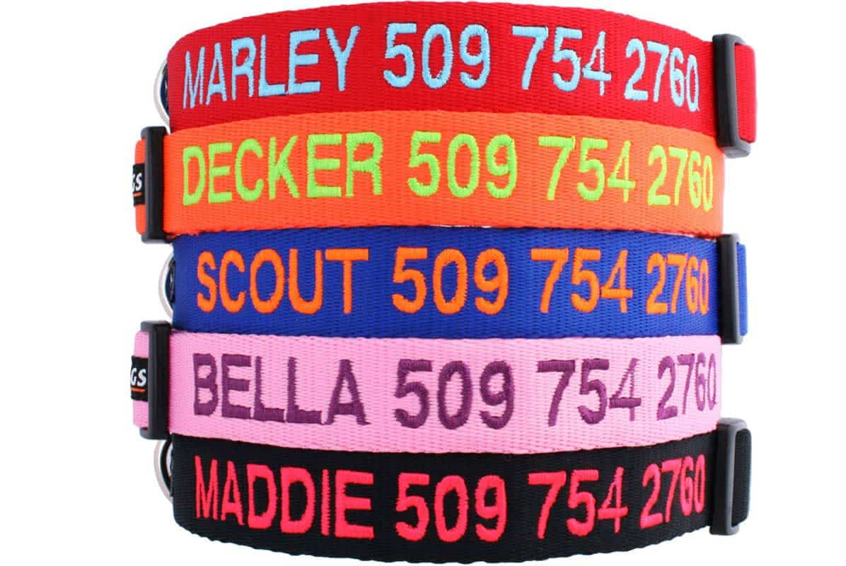 embroidered dog collars