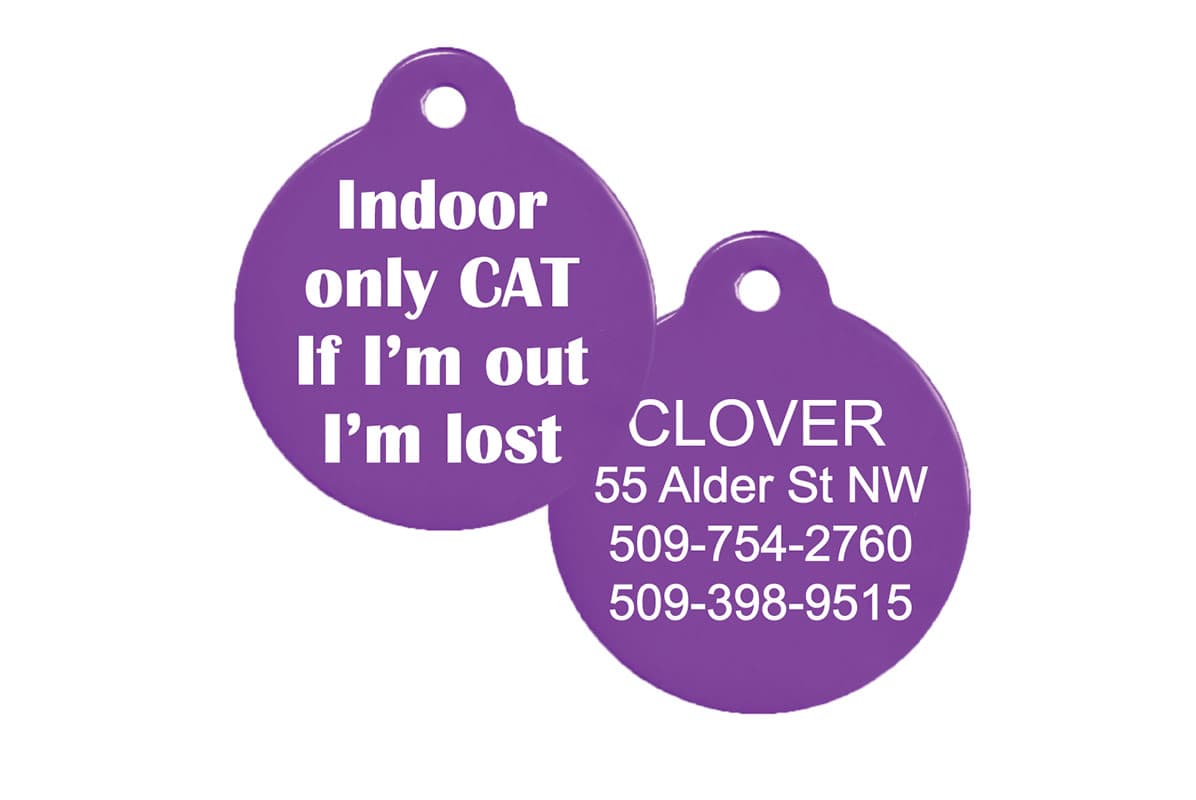 indoor only cat tags