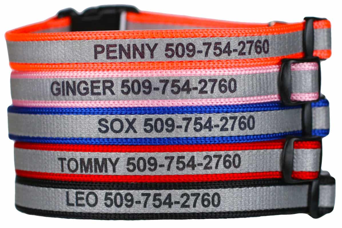 personalized cat collars