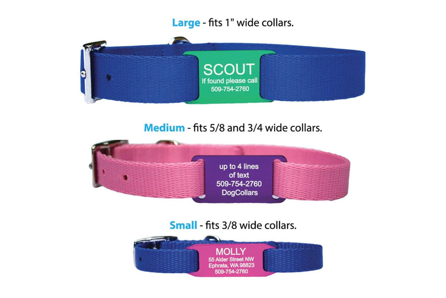 dog collars and tags