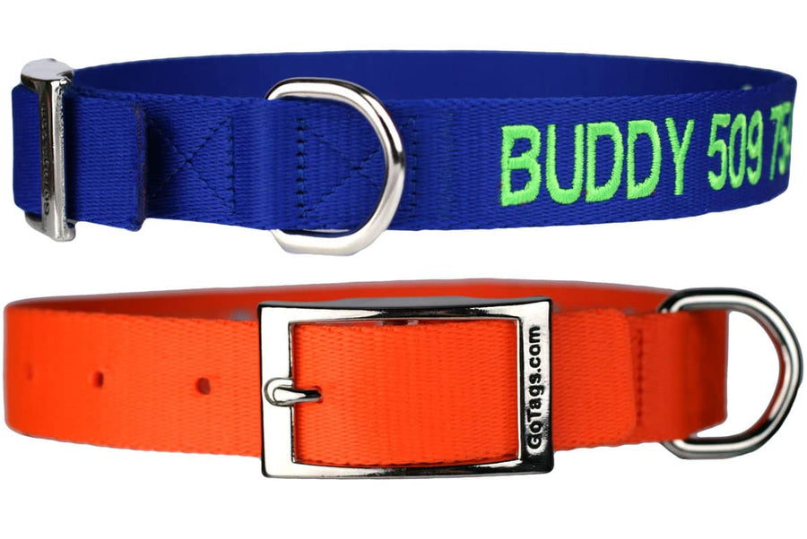 personalized dog collars with metal buckle