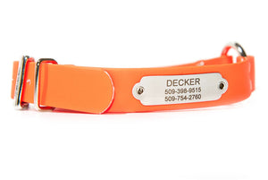 dog collars and tags