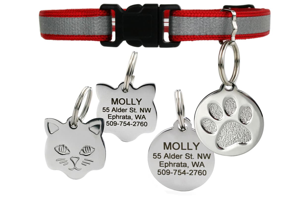 Cat Collars with Name Tags | Reflective 