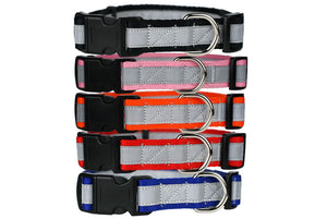 5 Benefits of Quick-Release Buckle Dog Collars - dogIDs