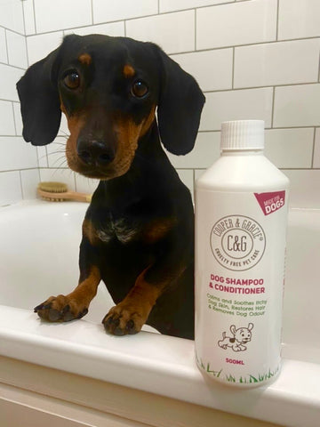 Happy pets using Cooper & Gracie's natural care solutions