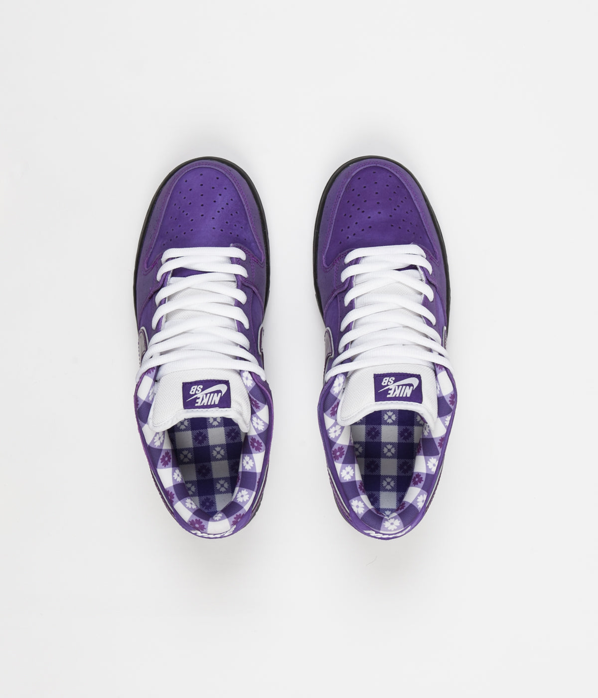 nike sb x concepts purple lobster dunk low