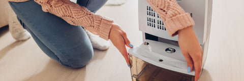 Woman emptying dehumidifier