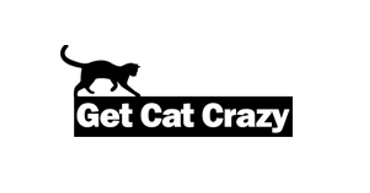 Boarding And Cat Sitting Getcatcrazy