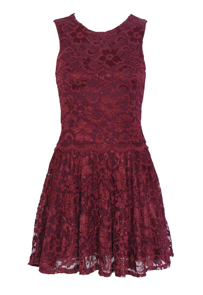 John Zack Lace Skater Dress – Glitzy Angel